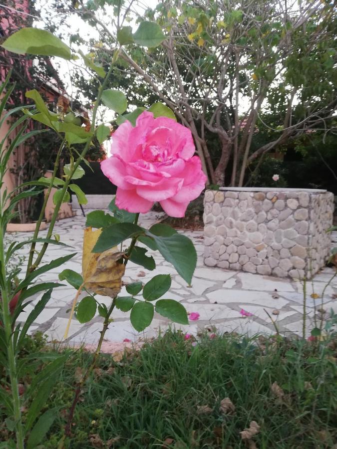 Anestis Studios Agios Georgios  Dış mekan fotoğraf