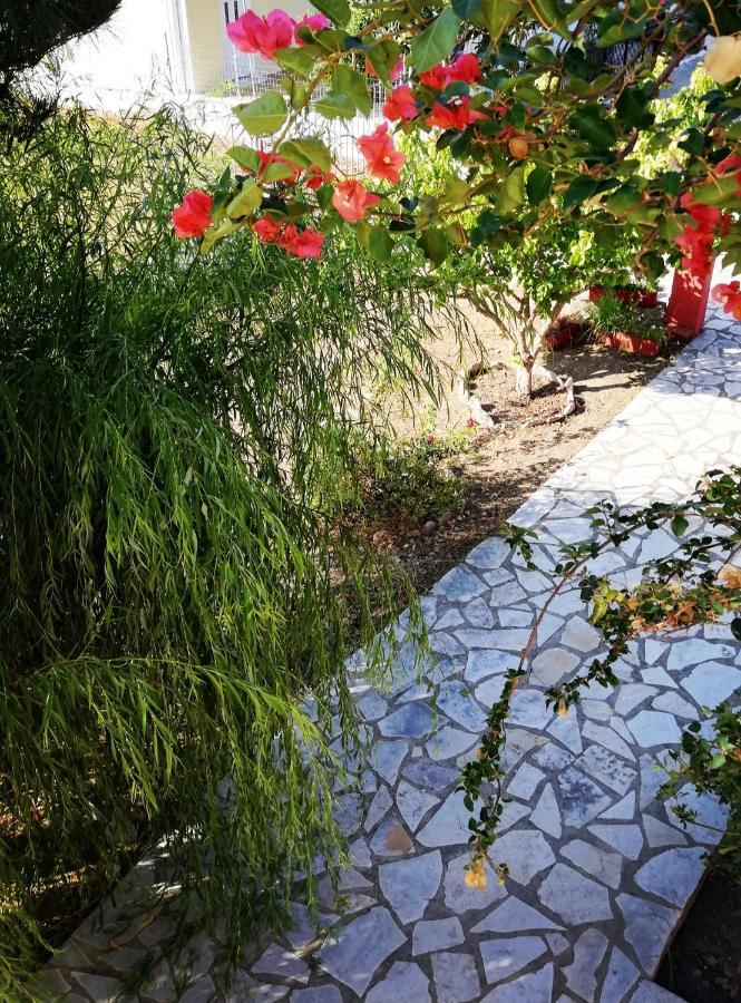 Anestis Studios Agios Georgios  Dış mekan fotoğraf